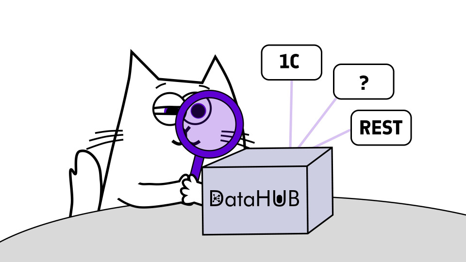 Обзор шины данных DataHUB